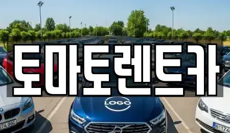경기 광주시 삼동 렌트카 전문 토마토렌트카