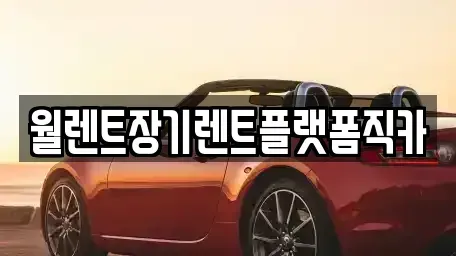 경기 광주시 삼동 장기렌트카 전문 월렌트장기렌트플랫폼직카
