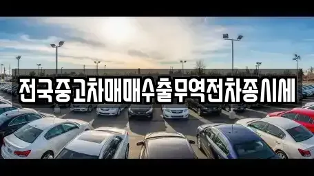 경기 광주시 삼동 중고차매매 전문 전국중고차매매수출무역전차종시세