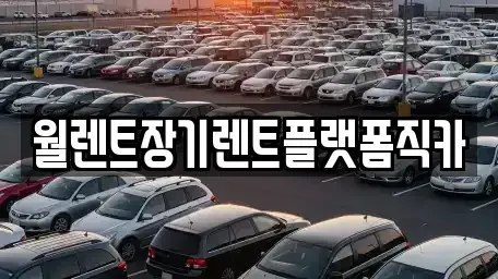 경기 광주시 태전동 장기렌트카 전문 월렌트장기렌트플랫폼직카