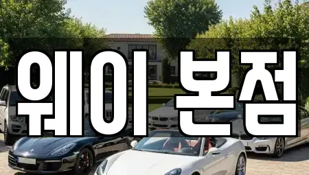 경기 군포시 단기렌트카 전문 웨이 본점