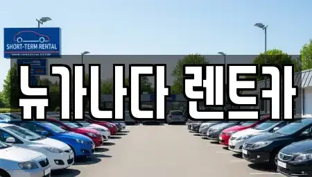 경기 김포시 운양동 렌트카 전문 뉴가나다 렌트카