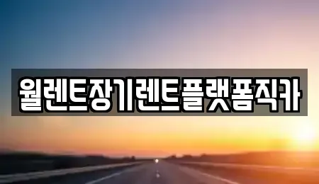 경기 김포시 운양동 렌트카 전문 월렌트장기렌트플랫폼직카