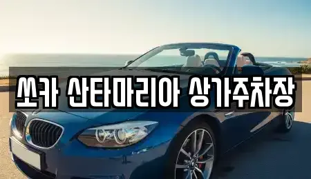 경기 김포시 운양동 장기렌트카 전문 쏘카 산타마리아 상가주차장
