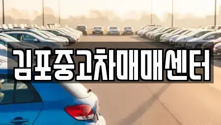 경기 김포시 운양동 중고차,렌트카,중고차매입,중고차매매,장기렌트카,단기렌트카