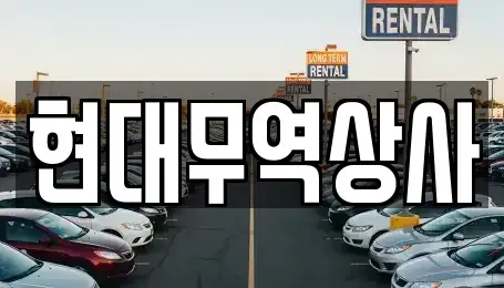 경기 김포시 운양동 중고차 전문 현대무역상사