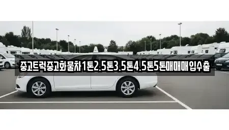 경기 김포시 운양동 중고차매입 전문 중고트럭중고화물차1톤2.5톤3.5톤4.5톤5톤매매매입수출