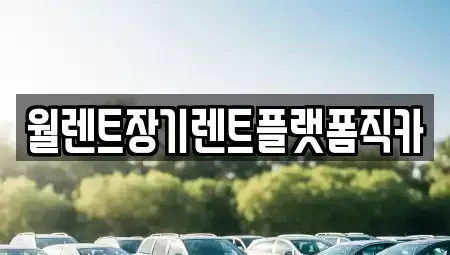 경기 부천시 원미구 원미동 장기렌트카 전문 월렌트장기렌트플랫폼직카
