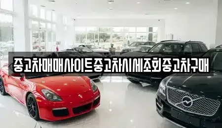 경기 부천시 원미구 원미동 중고차매매 전문 중고차매매사이트중고차시세조회중고차구매