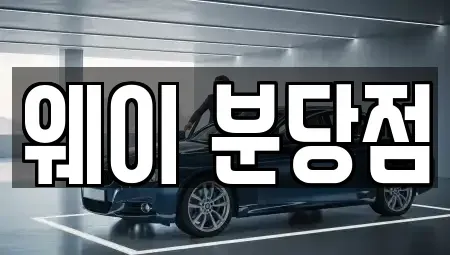 경기 성남시 분당구 이매동 단기렌트카 전문 웨이 분당점