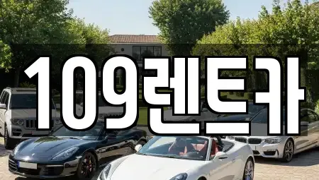 경기 성남시 분당구 이매동 렌트카 전문 109렌트카