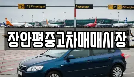 경기 성남시 분당구 이매동 중고차 전문 장안평중고차매매시장