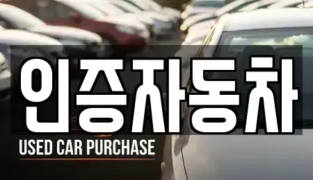 경기 성남시 분당구 이매동 중고차매매 전문 인증자동차