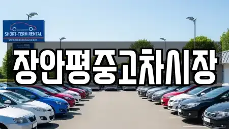 경기 성남시 분당구 이매동 중고차매매 전문 장안평중고차시장