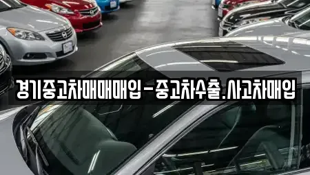 경기 성남시 분당구 이매동 중고차매입 전문 경기중고차매매매입-중고차수출.사고차매입