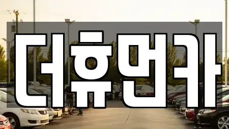 경기 성남시 분당구 정자동 단기렌트카 전문 더휴먼카
