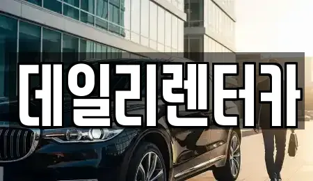 경기 성남시 분당구 정자동 단기렌트카 전문 데일리렌터카