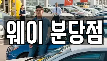 경기 성남시 분당구 정자동 단기렌트카 전문 웨이 분당점