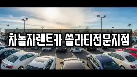 경기 성남시 분당구 정자동 렌트카,단기렌트카,장기렌트카,중고차,중고차매매,중고차매입