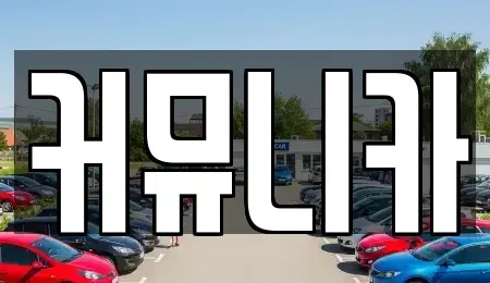 경기 성남시 분당구 정자동 렌트카 전문 커뮤니카