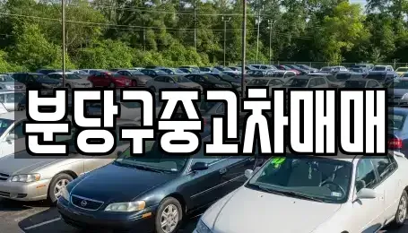 경기 성남시 분당구 정자동 중고차 전문 분당구중고차매매
