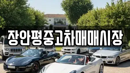경기 성남시 분당구 정자동 중고차 전문 장안평중고차매매시장