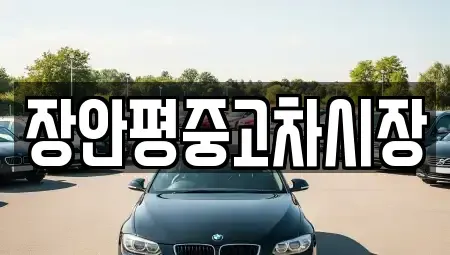 경기 성남시 분당구 정자동 중고차 전문 장안평중고차시장