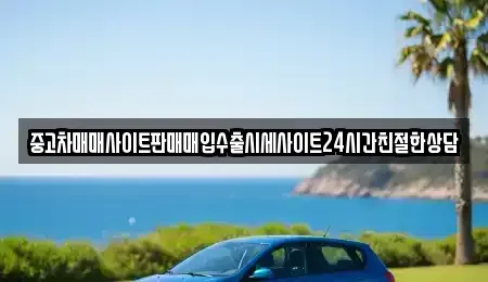 경기 성남시 분당구 정자동 중고차 전문 중고차매매사이트판매매입수출시세사이트24시간친절한상담