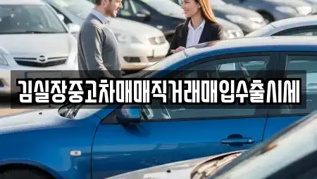 경기 성남시 분당구 정자동 중고차매입 전문 김실장중고차매매직거래매입수출시세