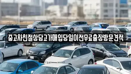 경기 성남시 분당구 정자동 중고차매입 전문 중고차친절상담고가매입당일이전무료출장방문견적