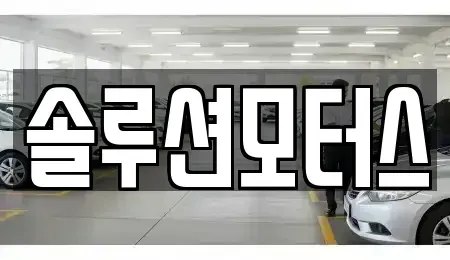 경기 성남시 수정구 복정동 단기렌트카 전문 솔루션모터스
