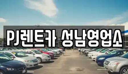 경기 성남시 수정구 복정동 렌트카 전문 PJ렌트카 성남영업소