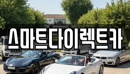 경기 성남시 수정구 복정동 장기렌트카 전문 스마트다이렉트카