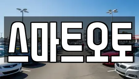 경기 성남시 수정구 복정동 장기렌트카 전문 스마트오토