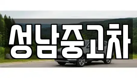 경기 성남시 수정구 복정동 중고차 전문 성남중고차