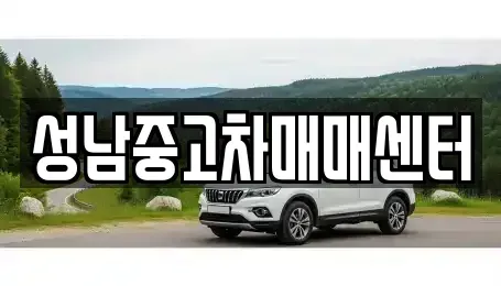 경기 성남시 수정구 복정동 중고차,렌트카,중고차매입,중고차매매,장기렌트카,단기렌트카