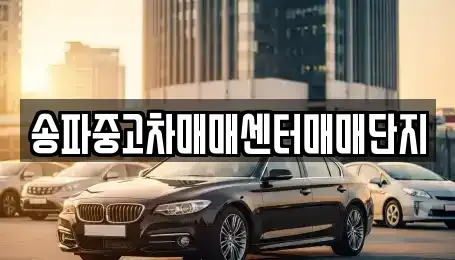 경기 성남시 수정구 복정동 중고차 전문 송파중고차매매센터매매단지