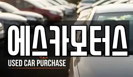 경기 성남시 수정구 복정동 중고차 전문 에스카모터스