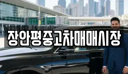 경기 성남시 수정구 복정동 중고차 전문 장안평중고차매매시장