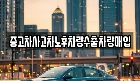 경기 성남시 수정구 복정동 중고차매입 전문 중고차사고차노후차량수출차량매입