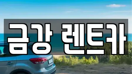 경기 수원시 팔달구 영동 렌트카 전문 금강 렌트카