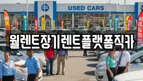 경기 수원시 팔달구 영동 장기렌트카 전문 월렌트장기렌트플랫폼직카