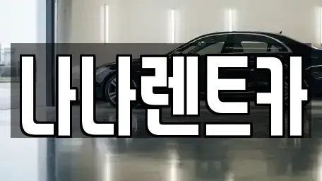 경기 시흥시 광석동 렌트카 전문 나나렌트카