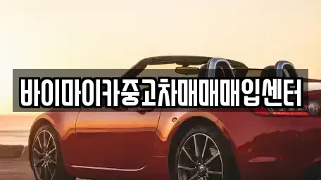 경기 시흥시 광석동 중고차매매 전문 바이마이카중고차매매매입센터