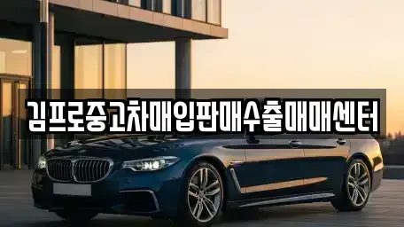 경기 시흥시 광석동 중고차매입 전문 김프로중고차매입판매수출매매센터