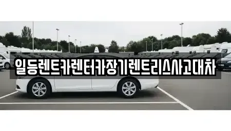 경기 시흥시 조남동 장기렌트카 전문 일등렌트카렌터카장기렌트리스사고대차