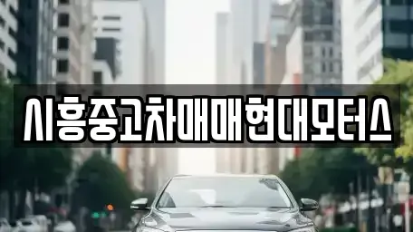 경기 시흥시 조남동 중고차매매,단기렌트카,중고차매입,장기렌트카,중고차,렌트카