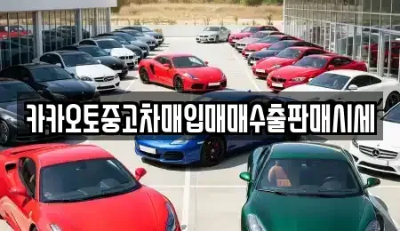 경기 시흥시 조남동 중고차매입 전문 카카오토중고차매입매매수출판매시세