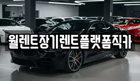 경기 안성시 대천동 렌트카 전문 월렌트장기렌트플랫폼직카