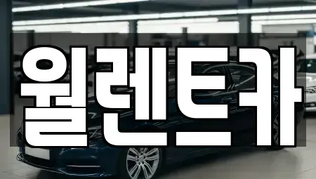 경기 안성시 대천동 렌트카 전문 월렌트카